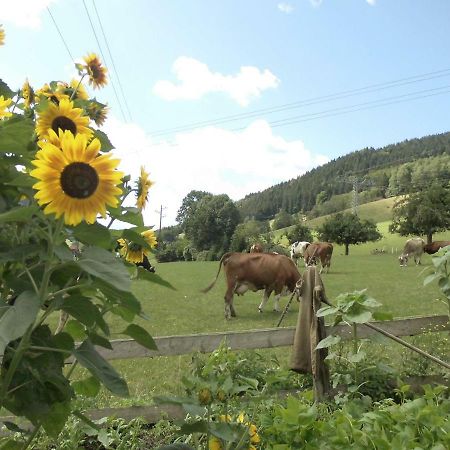 Apartmán Urlaub Auf Dem Haenslehof Elzach Exteriér fotografie