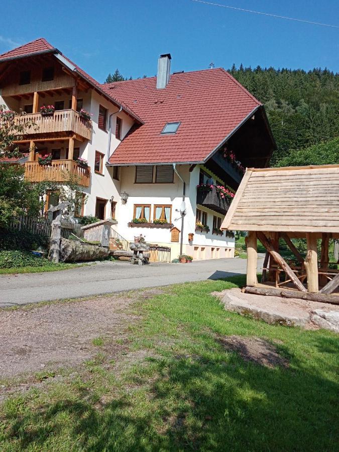 Apartmán Urlaub Auf Dem Haenslehof Elzach Exteriér fotografie