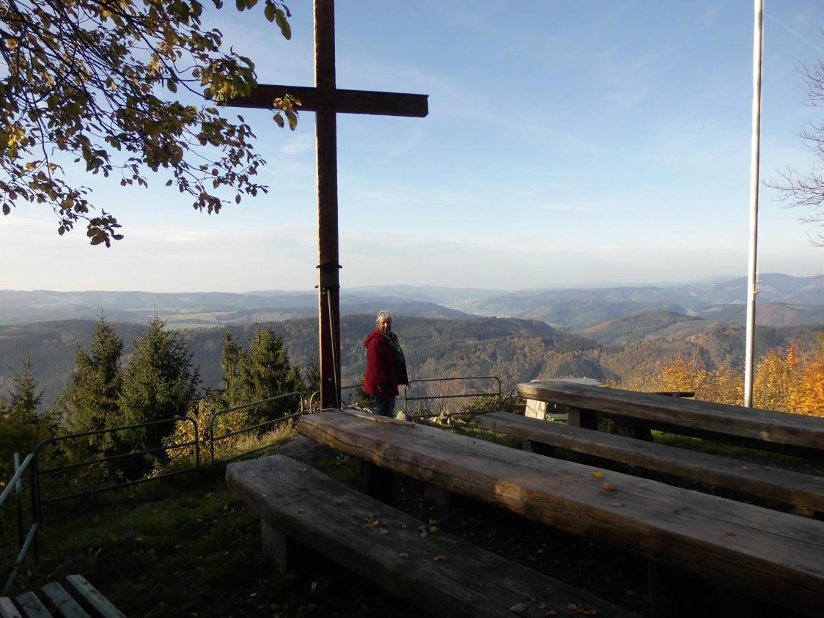 Apartmán Urlaub Auf Dem Haenslehof Elzach Exteriér fotografie