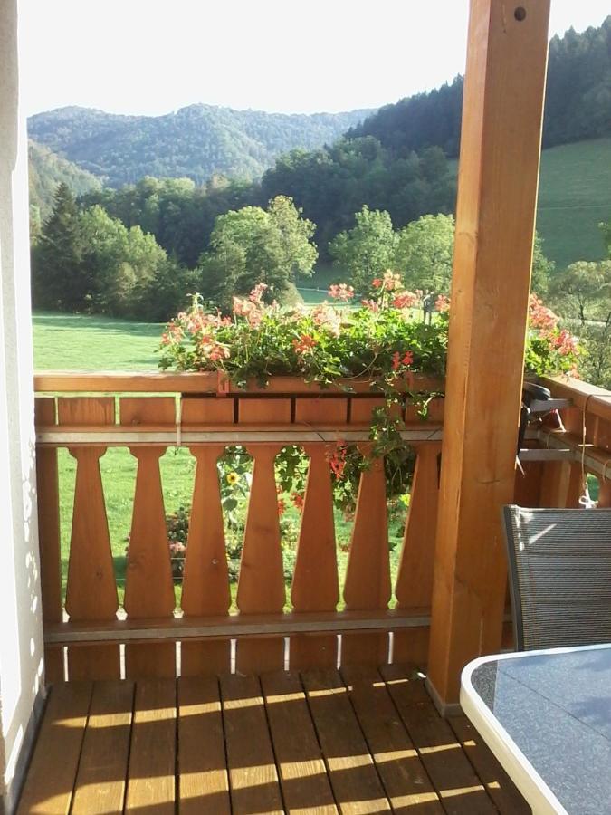 Apartmán Urlaub Auf Dem Haenslehof Elzach Exteriér fotografie