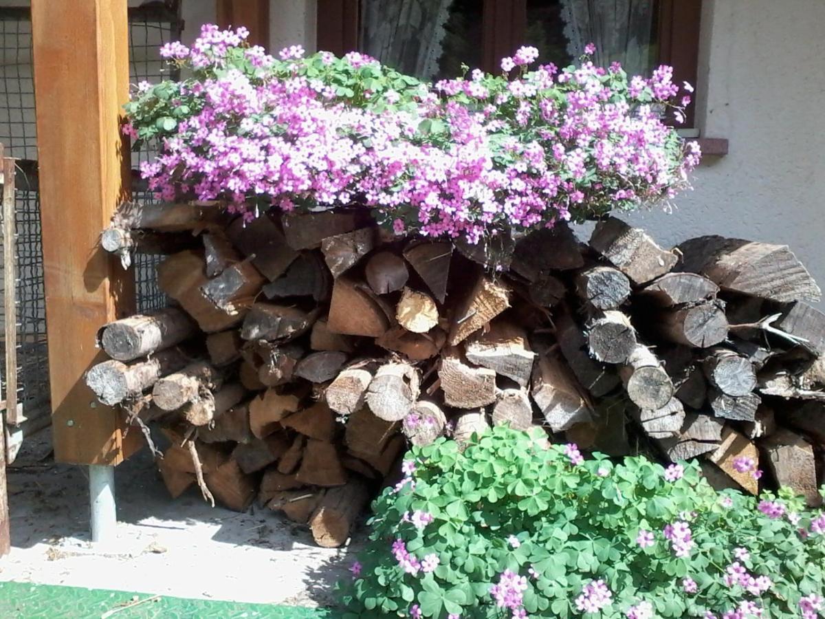 Apartmán Urlaub Auf Dem Haenslehof Elzach Exteriér fotografie
