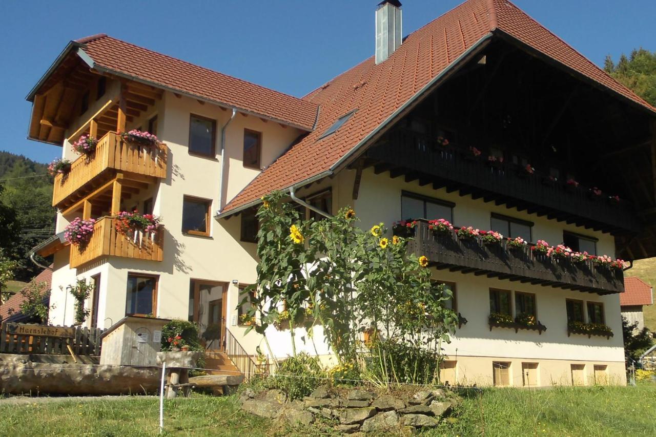 Apartmán Urlaub Auf Dem Haenslehof Elzach Exteriér fotografie