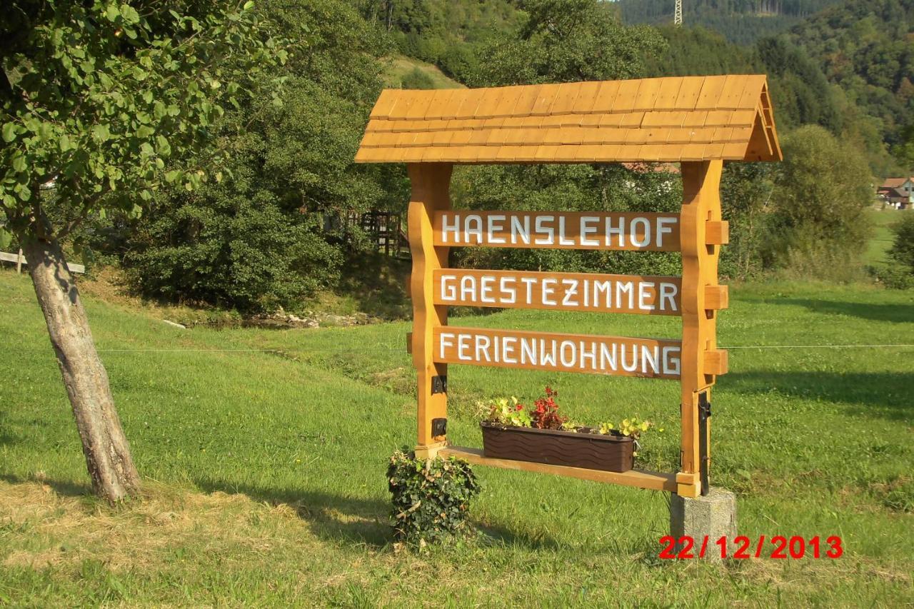 Apartmán Urlaub Auf Dem Haenslehof Elzach Exteriér fotografie