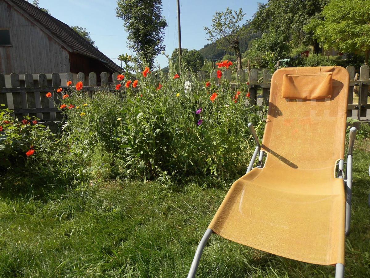 Apartmán Urlaub Auf Dem Haenslehof Elzach Exteriér fotografie