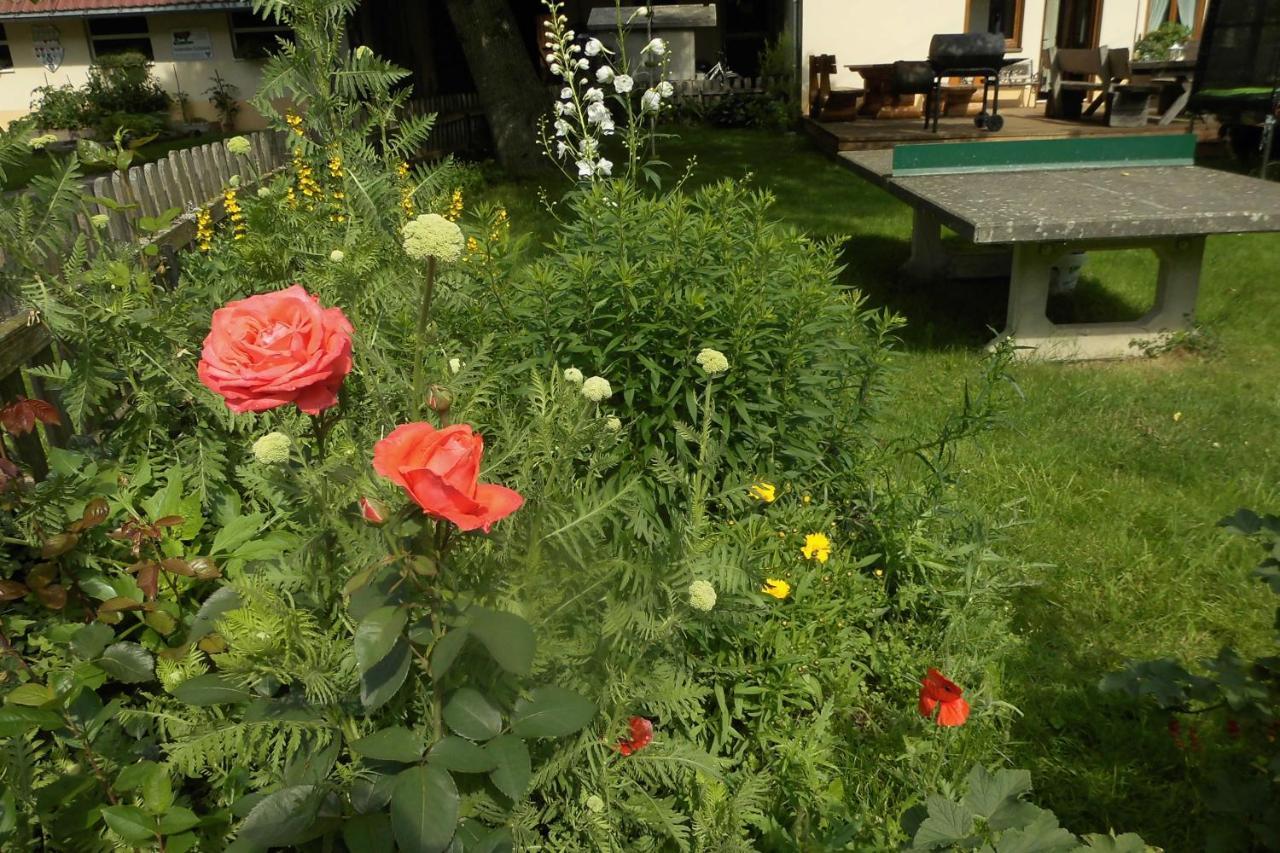 Apartmán Urlaub Auf Dem Haenslehof Elzach Exteriér fotografie