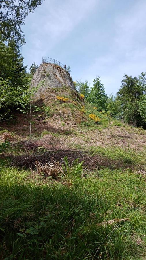 Apartmán Urlaub Auf Dem Haenslehof Elzach Exteriér fotografie