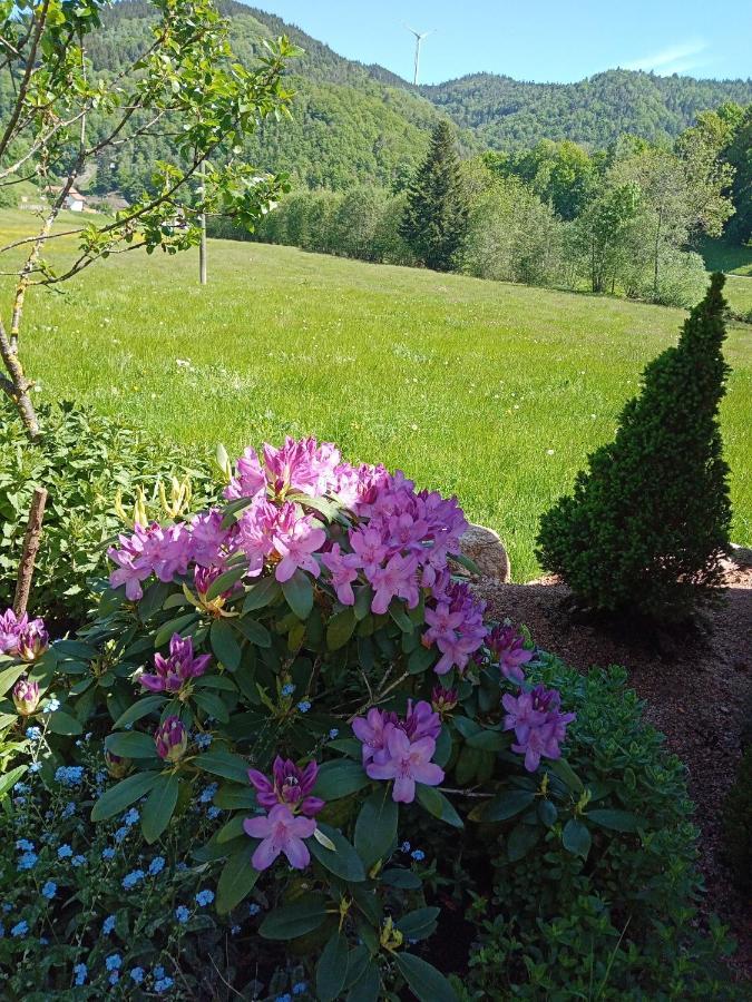 Apartmán Urlaub Auf Dem Haenslehof Elzach Exteriér fotografie