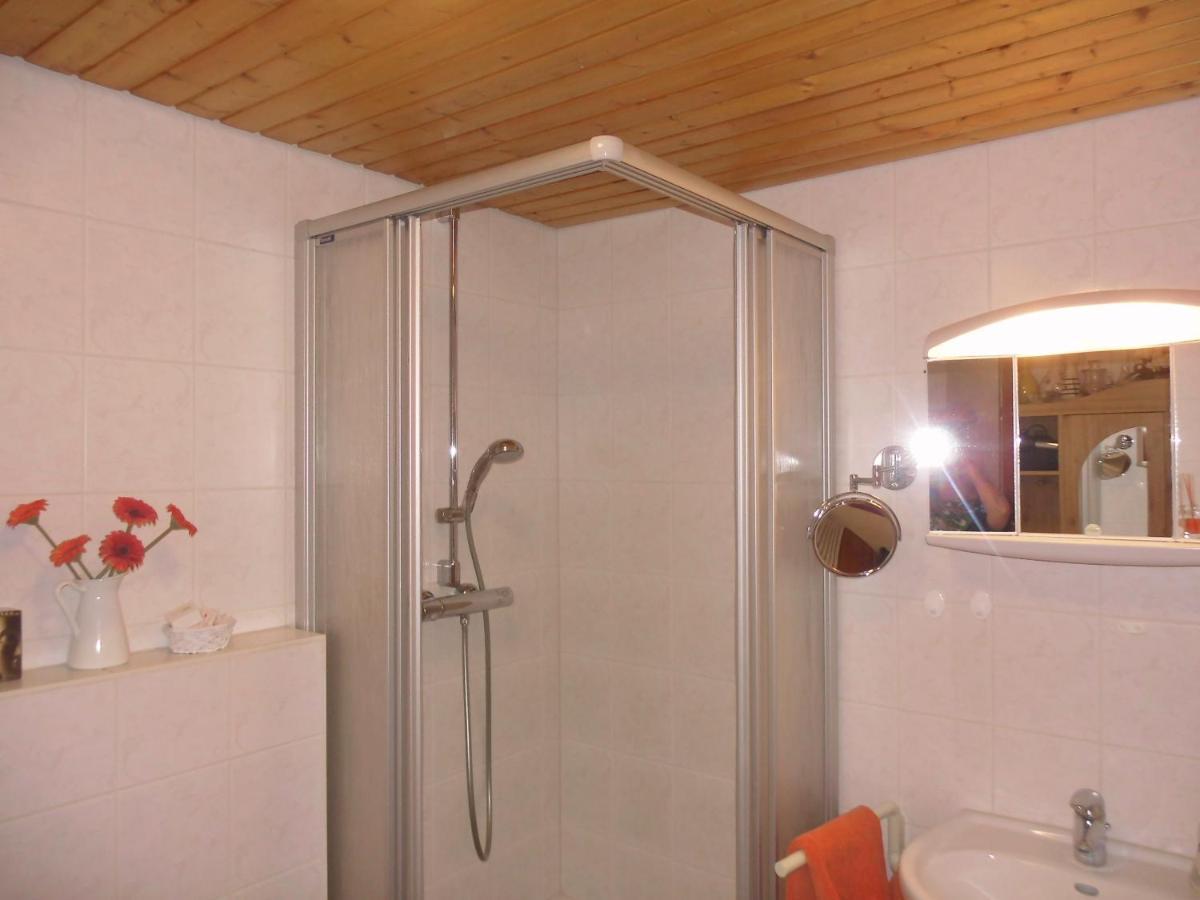 Apartmán Urlaub Auf Dem Haenslehof Elzach Exteriér fotografie