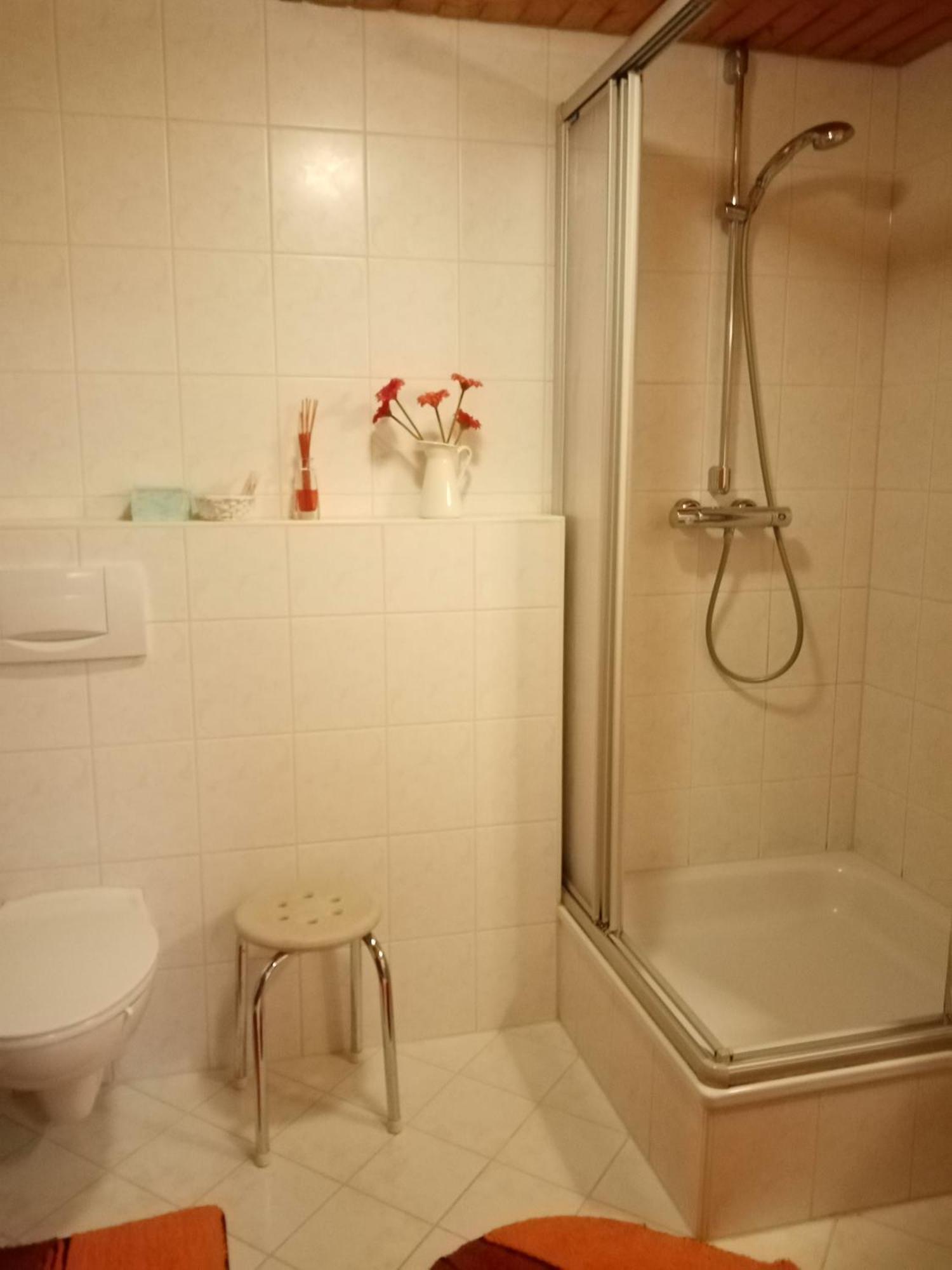 Apartmán Urlaub Auf Dem Haenslehof Elzach Exteriér fotografie