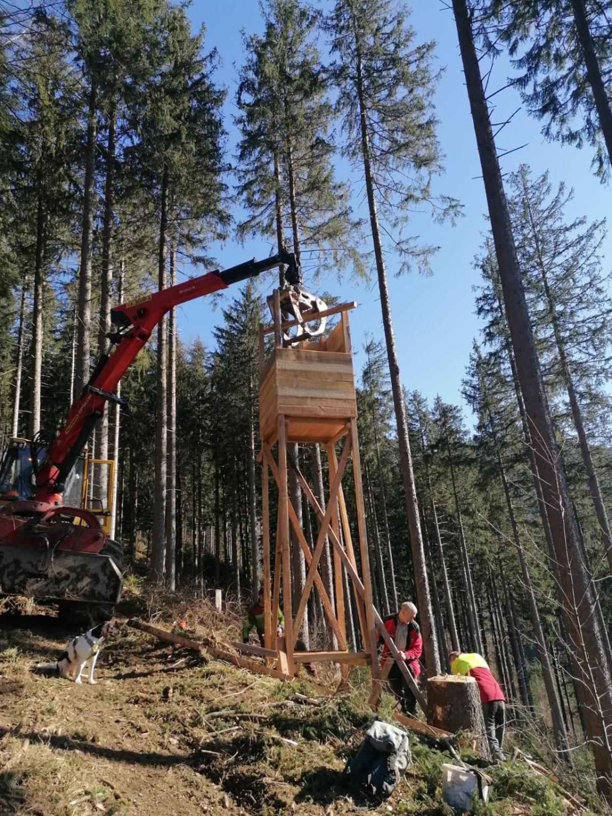 Apartmán Urlaub Auf Dem Haenslehof Elzach Exteriér fotografie