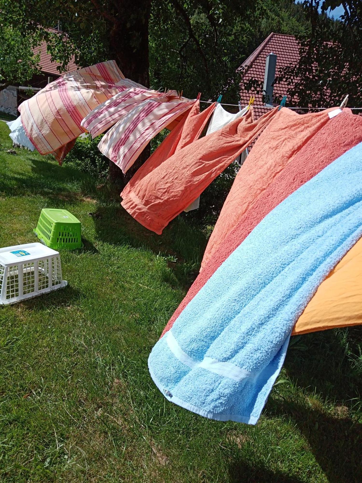 Apartmán Urlaub Auf Dem Haenslehof Elzach Exteriér fotografie