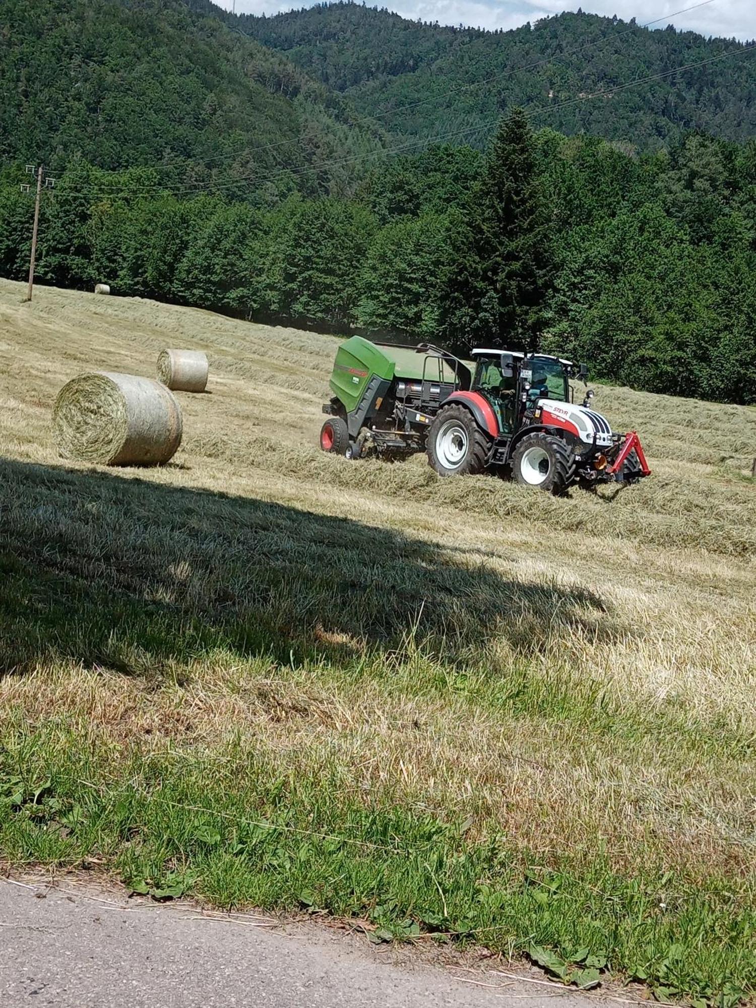 Apartmán Urlaub Auf Dem Haenslehof Elzach Exteriér fotografie