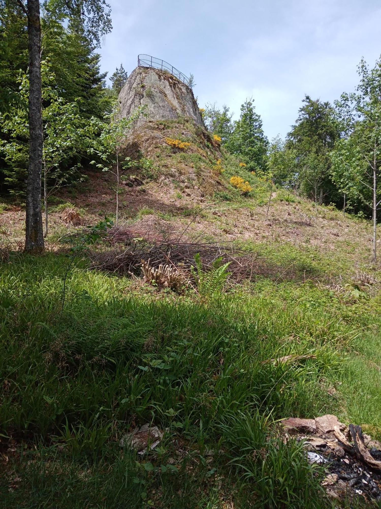 Apartmán Urlaub Auf Dem Haenslehof Elzach Exteriér fotografie