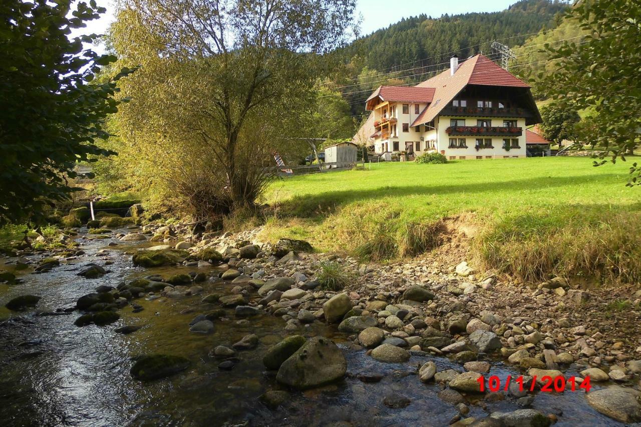 Apartmán Urlaub Auf Dem Haenslehof Elzach Exteriér fotografie