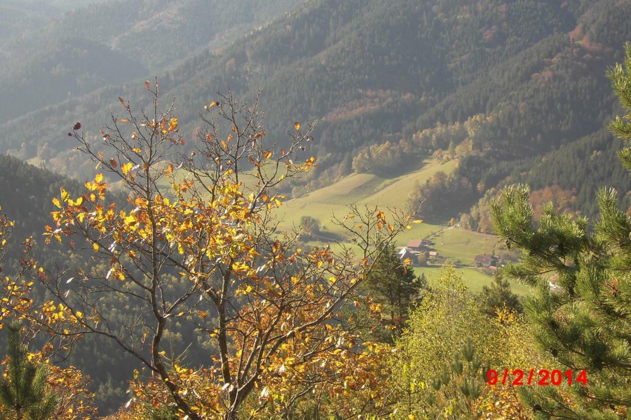 Apartmán Urlaub Auf Dem Haenslehof Elzach Exteriér fotografie