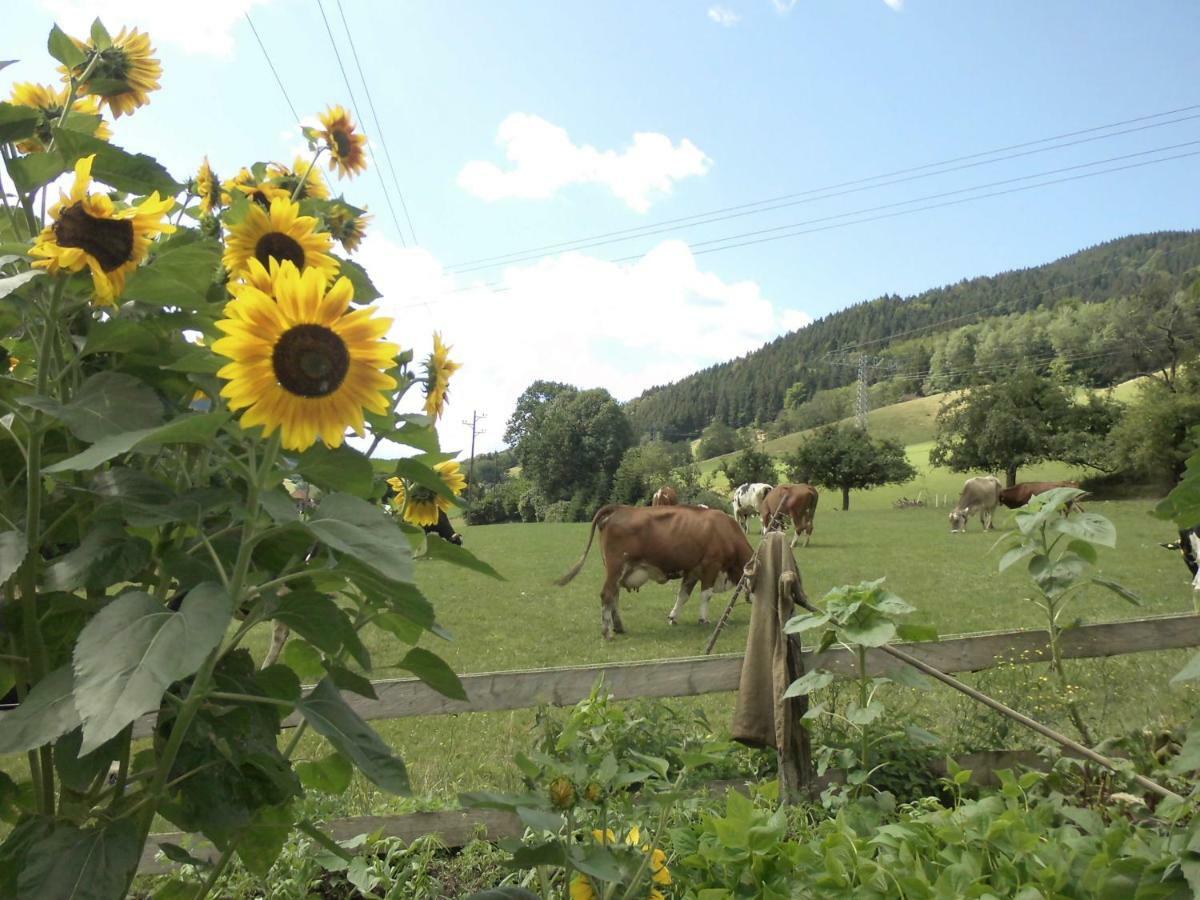 Apartmán Urlaub Auf Dem Haenslehof Elzach Exteriér fotografie