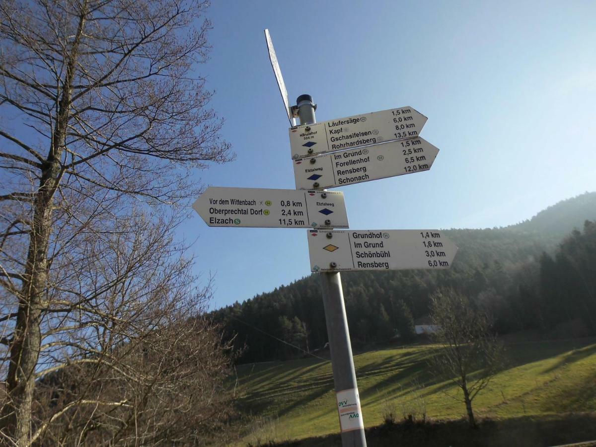 Apartmán Urlaub Auf Dem Haenslehof Elzach Exteriér fotografie